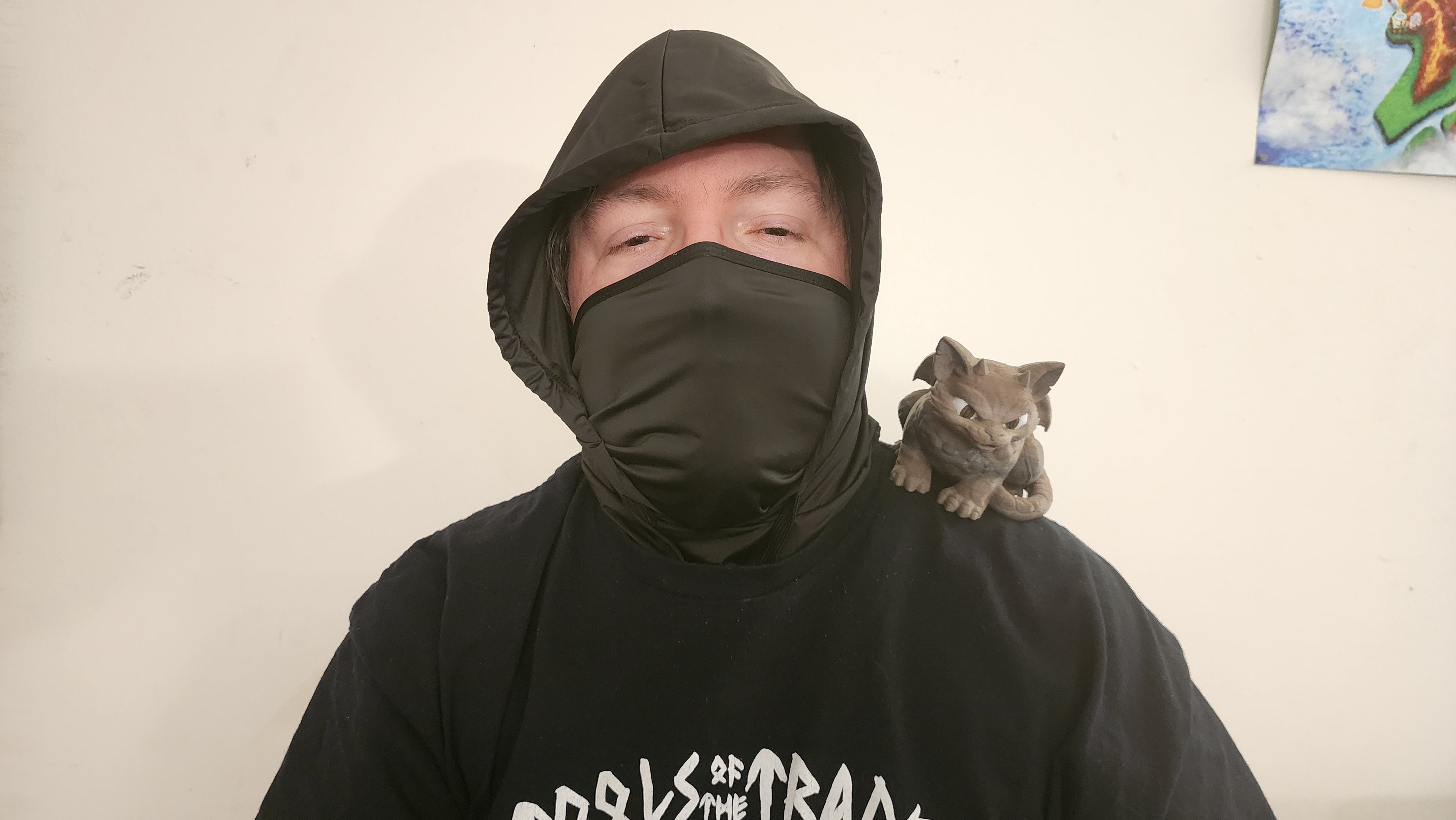 Cat Gargoyle Shoulder Pal