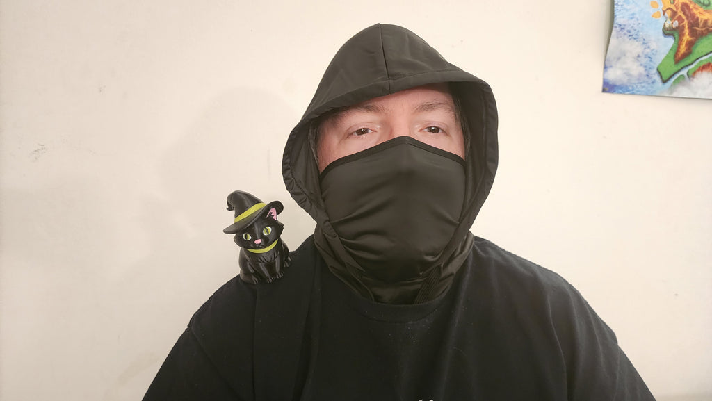 Cat Familiar Shoulder Pal