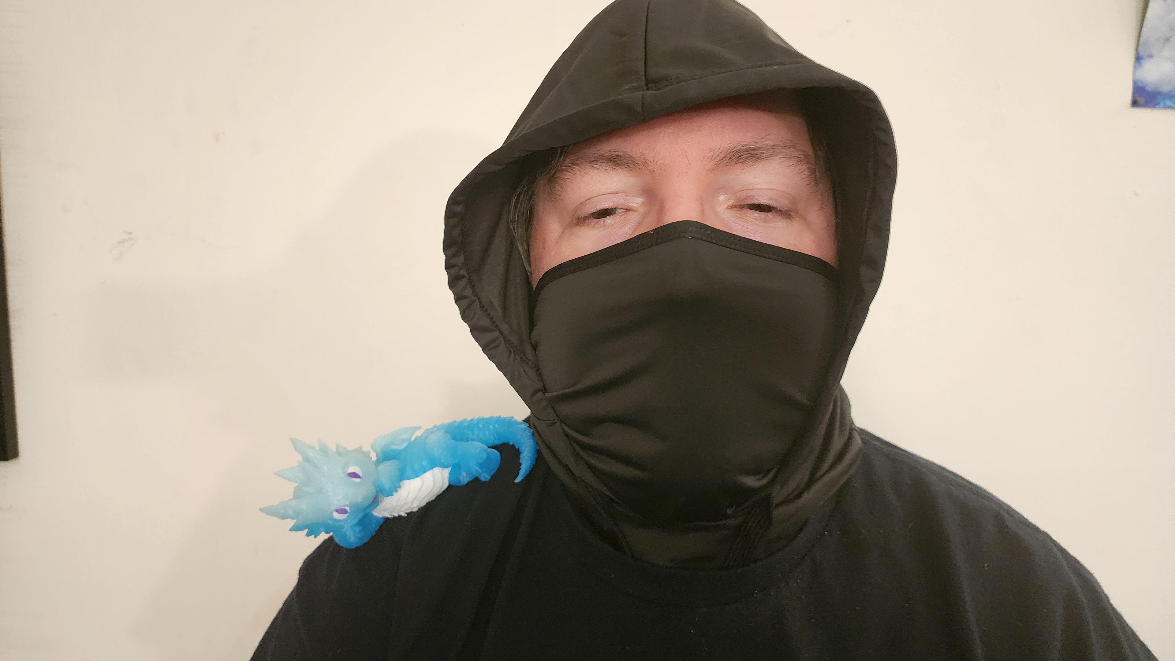 Ice Dragon Shoulder Pal