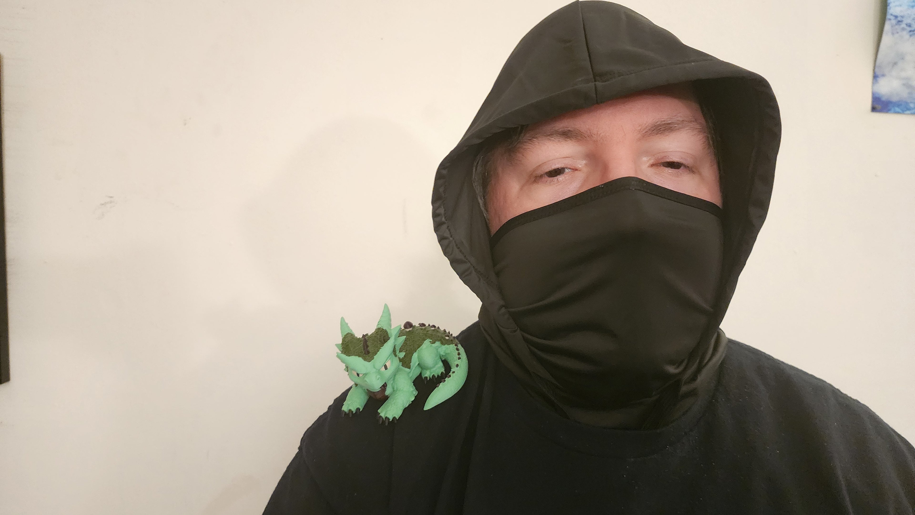 Moss Dragon Shoulder Pal