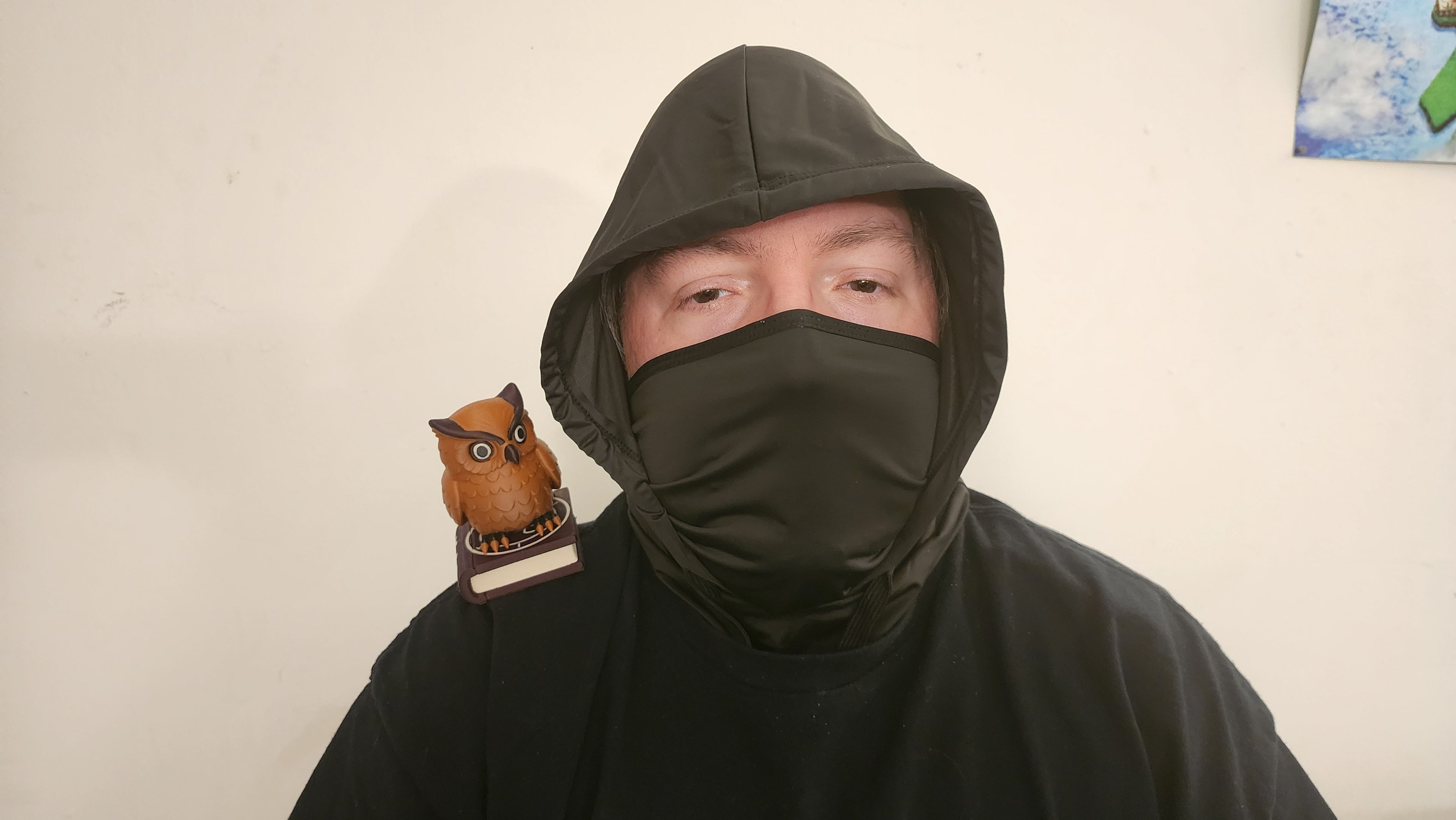 Owl Familiar Shoulder Pal