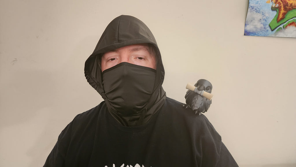 Raven Familiar Shoulder Pal