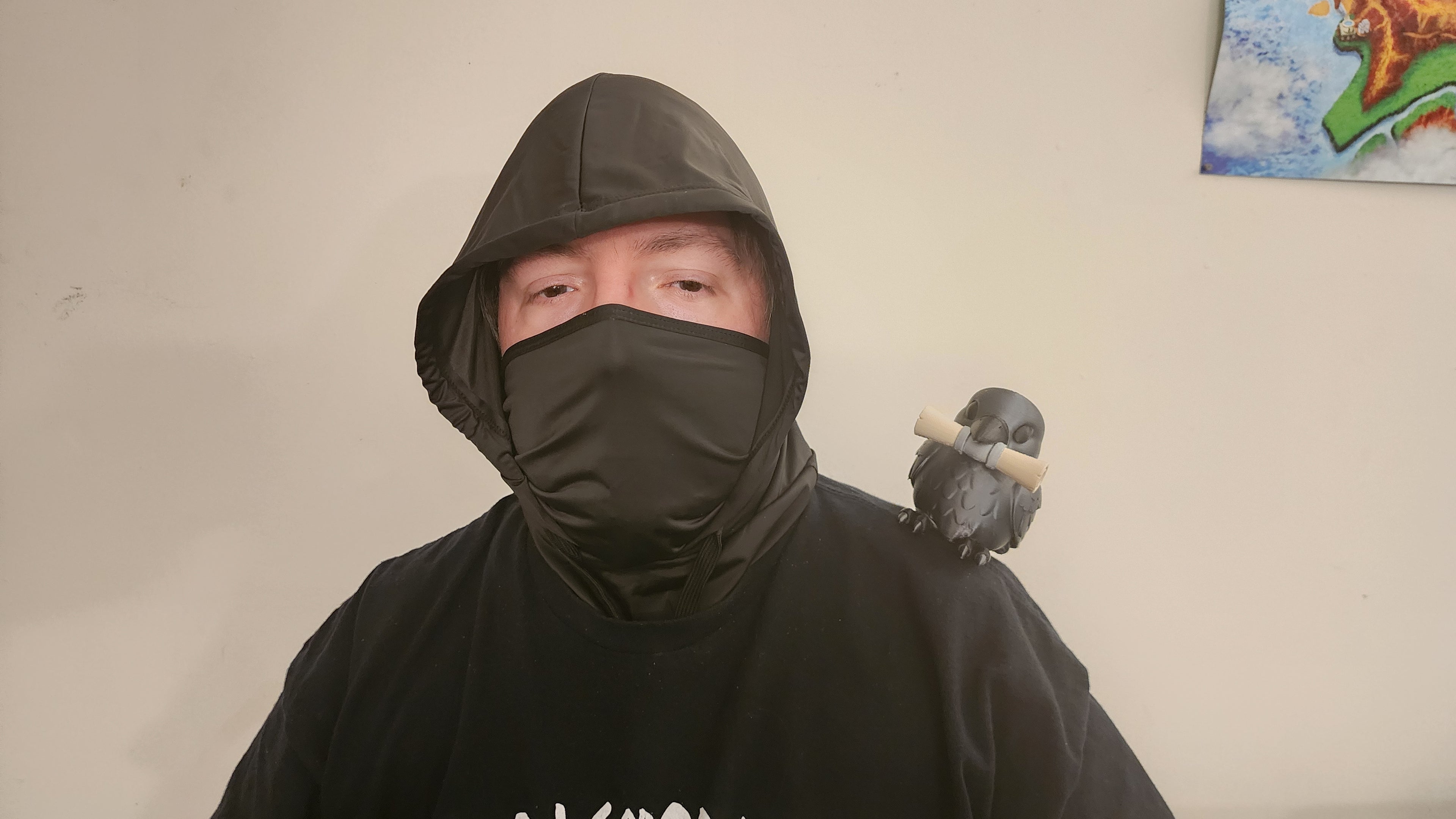 Raven Familiar Shoulder Pal