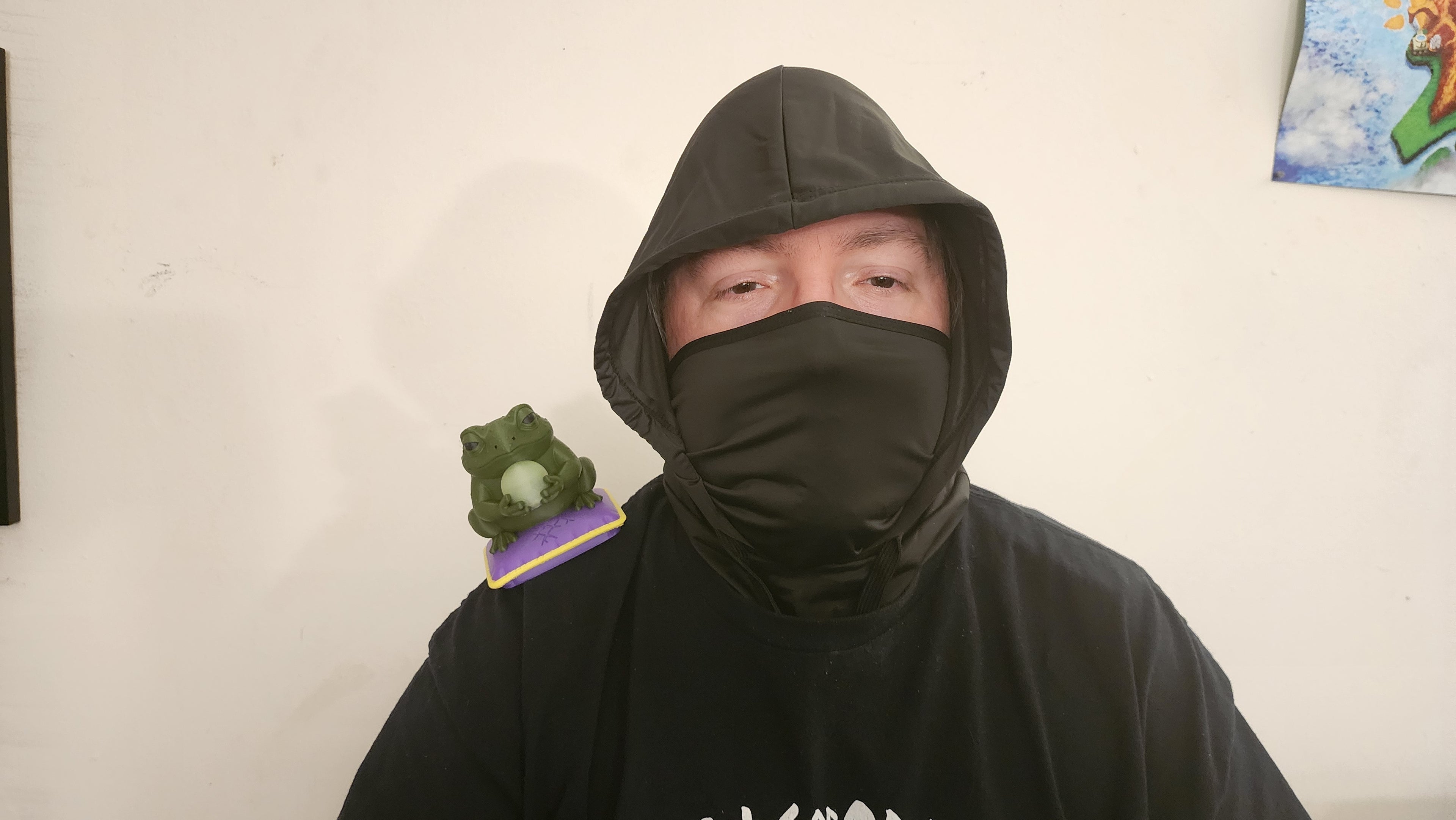 Toad Familiar Shoulder Pal